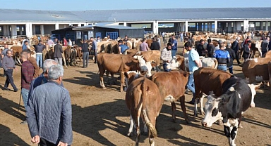 Kars’ta hayvan pazarı açılıyor