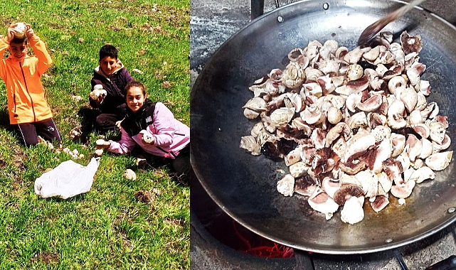 Kars’ta mantar zamanı başladı