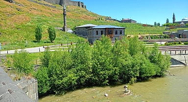 Ağaçlar Kars Çayını istila ediyor