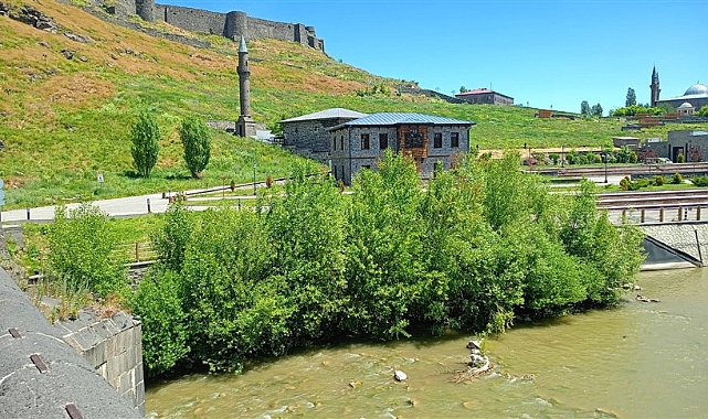 Ağaçlar Kars Çayını istila ediyor