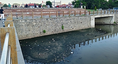 Kars Çayında balçık birikmeye başladı