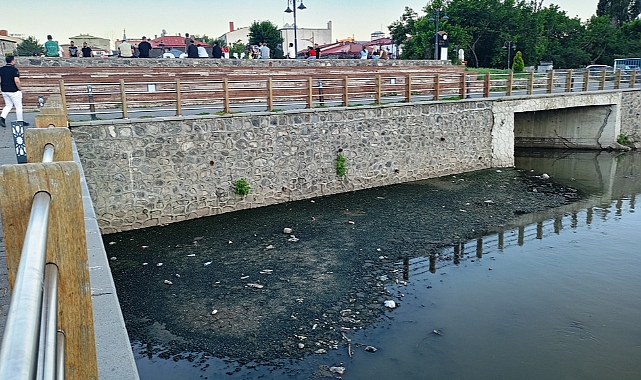 Kars Çayında balçık birikmeye başladı