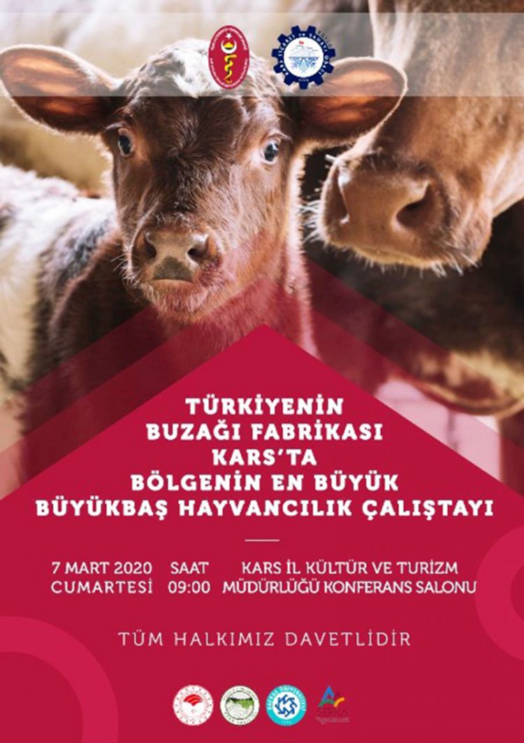 Bölgenin En Büyük Büyükbaş Hayvancılık Çalıştayı Kars’ta düzenlenecek